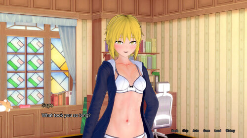 更新[日式SLG/动态] 神圣秩序 Heavenly Order v0.0.4b 汉化版 [PC+安卓 3.0G]