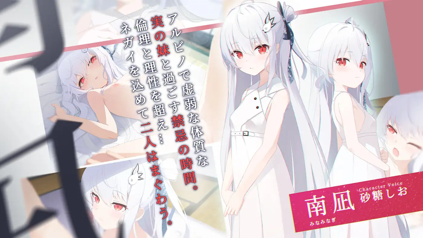 更新[日式ADV] 只愿 カタネガイ Ver1.03  精翻汉化版 步兵版+全CG存档 [PC+安卓4.40G]
