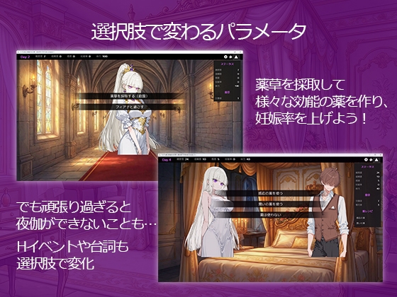 新作[日式SLG/养成巨乳] 傲娇公主与十日夜伽～在异世界被命令生子～ ツンデレ姫と夜伽の10日間 〜異世界で子作り命じられました〜  内嵌AI汉化版 [560M]